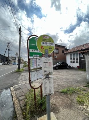 最寄りバス停　亀田中学前の画像