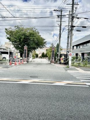 大阪音楽大学付属音楽幼稚園の画像