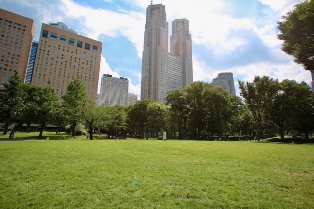 新宿中央公園の画像