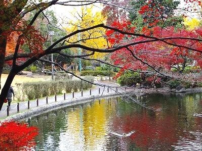 区立蚕糸の森公園の画像