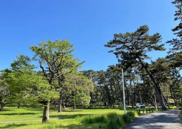 稲毛公園の画像