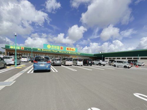 杏林堂ドラッグストア 藤枝駅北店の画像