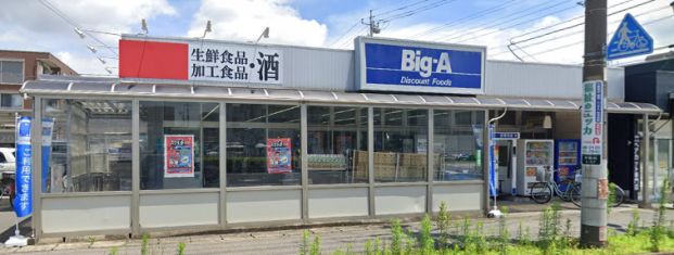 ビッグ・エー三郷駅前店の画像