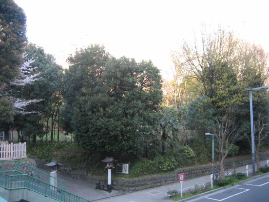 区立新宿中央公園の画像