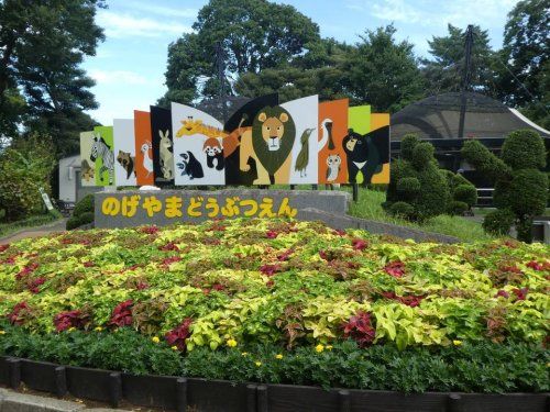 野毛山動物園の画像