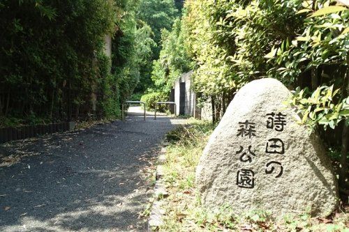 蒔田の森公園の画像