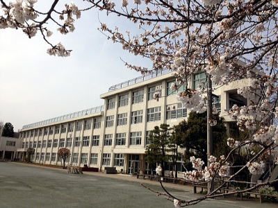 羽村市立羽村東小学校の画像