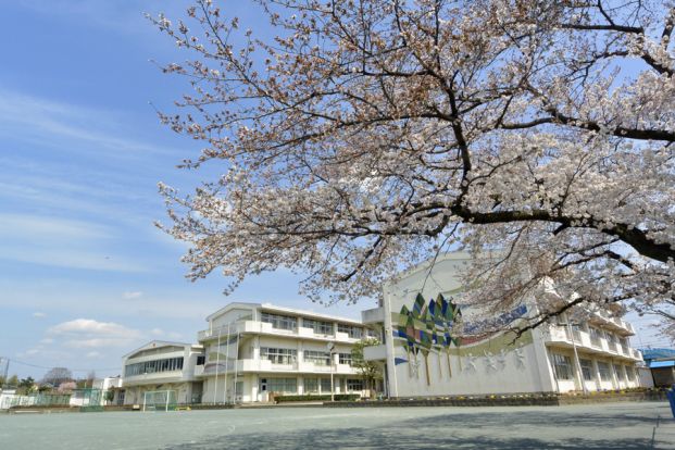 羽村市立羽村西小学校の画像