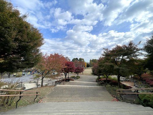 西ヶ原みんなの公園の画像