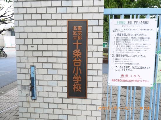 北区立　十条台小学校の画像