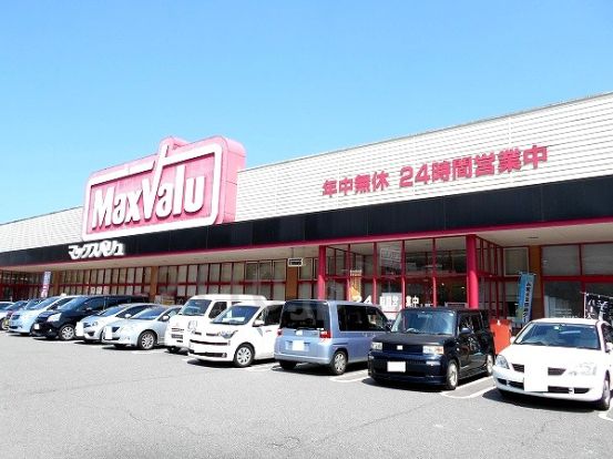 マックスバリュ　大池店の画像