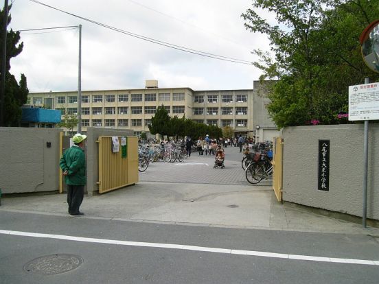 八尾市立 大正小学校の画像