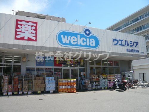 ウエルシア横浜綱島東店の画像