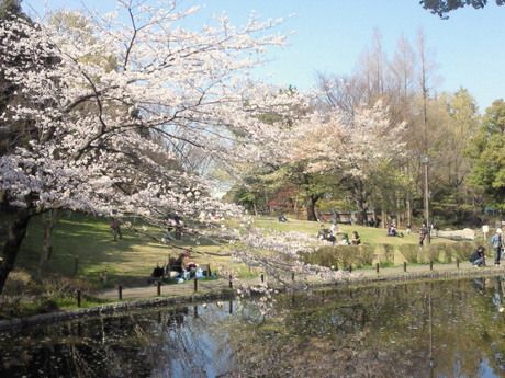 蚕糸の森公園の画像