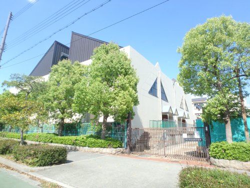 神戸市立向洋小学校の画像