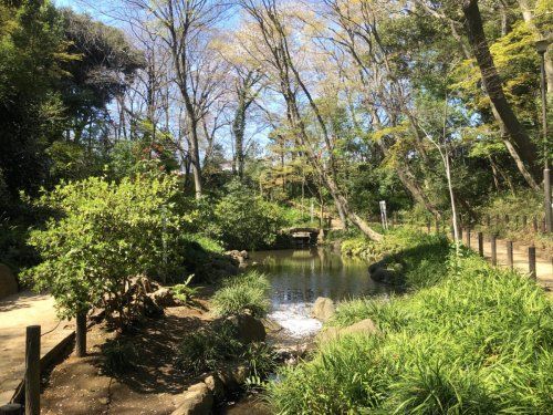 おとめ山公園の画像