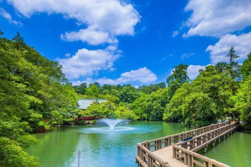 都立井の頭公園の画像