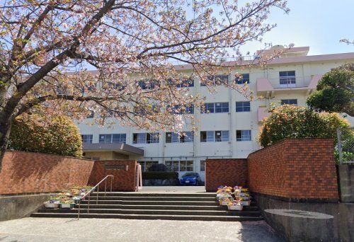 北九州市立八枝小学校の画像