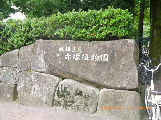 赤塚植物園の画像