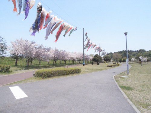 小山総合公園の画像