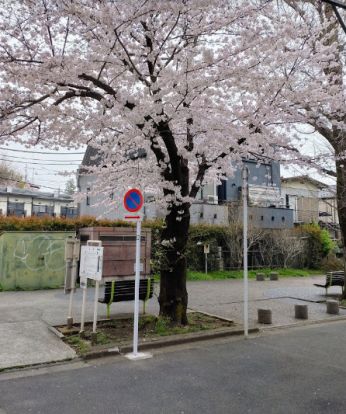 上水橋緑地の画像