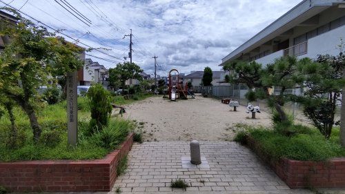 若松町あじさい児童遊園の画像