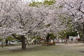 富塚公園の画像