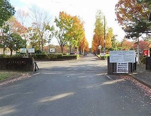 京都市横大路運動公園の画像