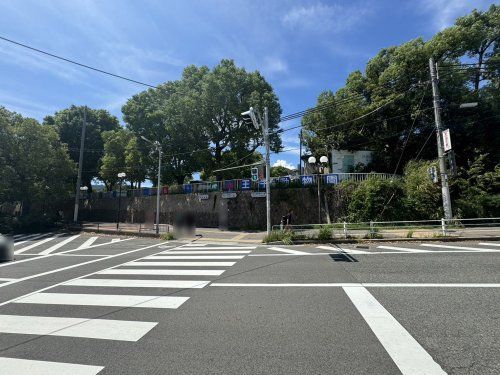 王子動物園の画像