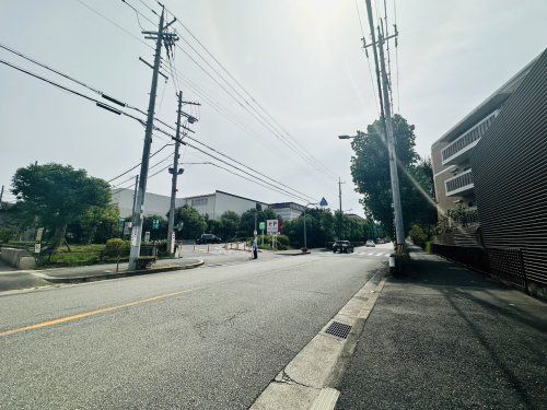 サイゼリヤ イオンタウン豊中緑丘店の画像