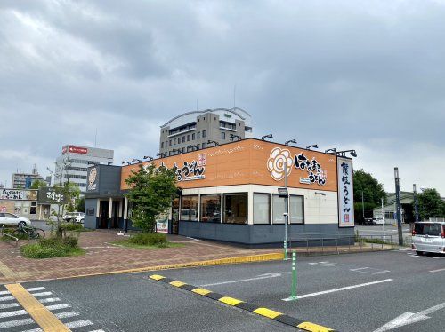 はなまるうどん　新前橋店の画像