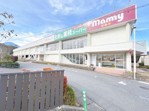 マミー二枚橋店の画像