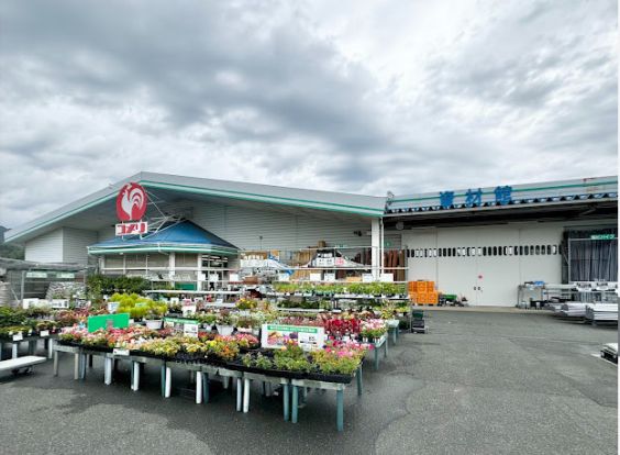 コメリハード＆グリーン宮津店の画像