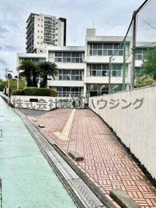 豊中市新田小学校の画像