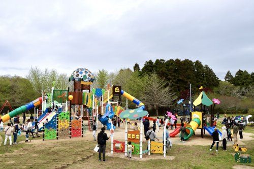 涸沼自然公園の画像