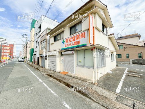 新生堂薬局 荘島店の画像