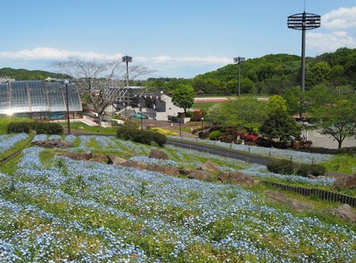 厚木市荻野運動公園の画像