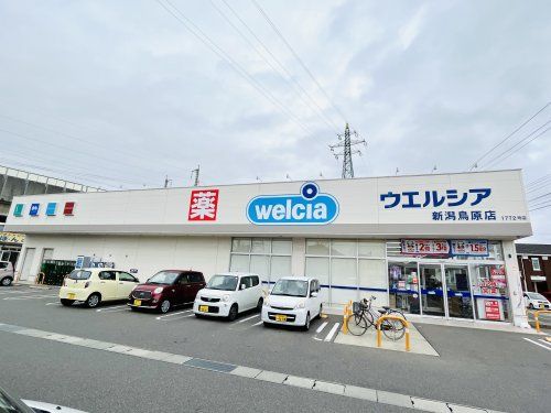 ウエルシア新潟鳥原店の画像