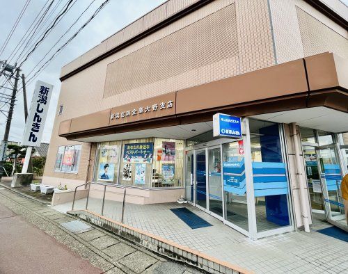 新潟信用金庫 大野支店の画像