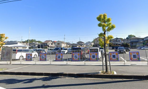 幼保連携型認定こども園橿原こども園の画像