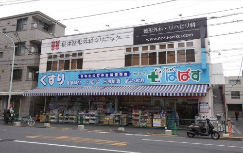 どらっぐぱぱす 根津店の画像