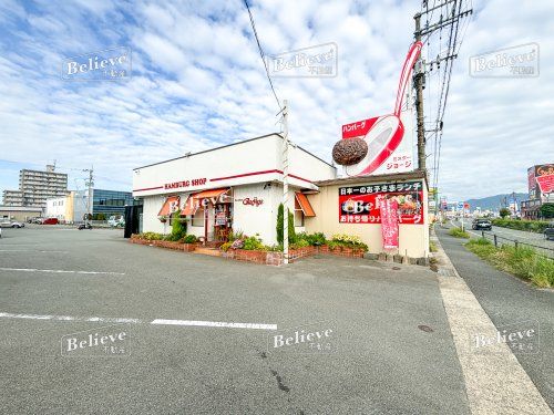 ミスタージョージ　東合川本店の画像