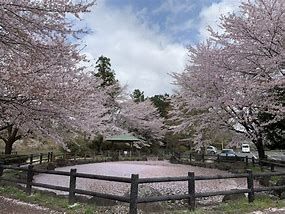 粕川公園の画像