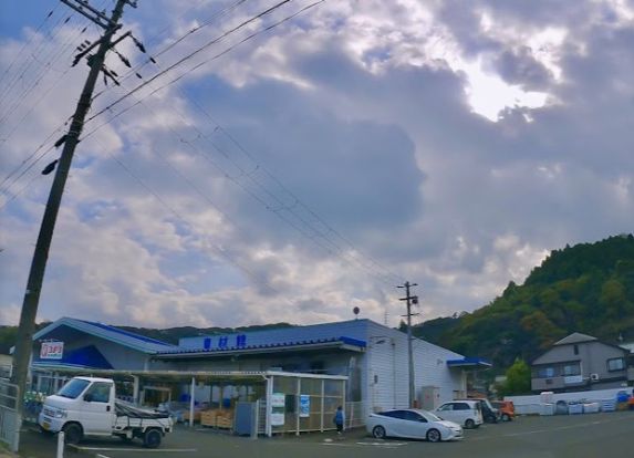 コメリハード＆グリーン高浜店の画像