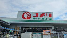 コメリハード&グリーン大泉学園店の画像