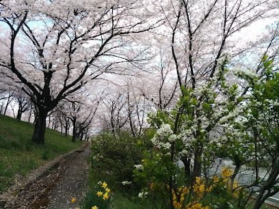 城山中央公園の画像