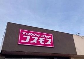 ドラックストアコスモス神立店の画像