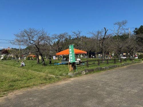 飯能中央公園の画像