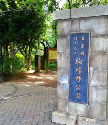 駒場野公園(自然観察舎)の画像