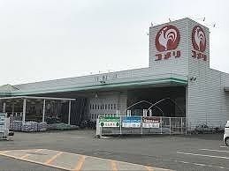 コメリハード&グリーン児玉店の画像